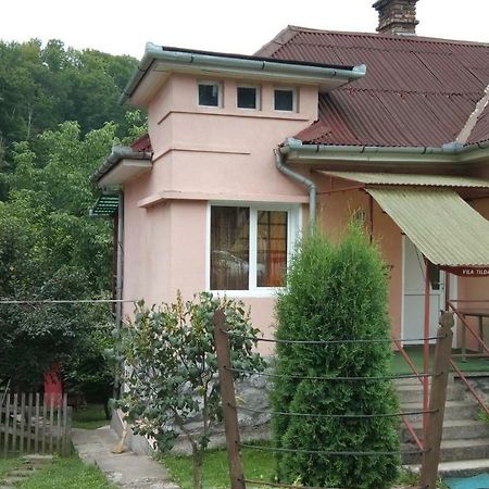 Vila Tilda Hotel Szováta Kültér fotó